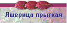 Ящерица прыткая